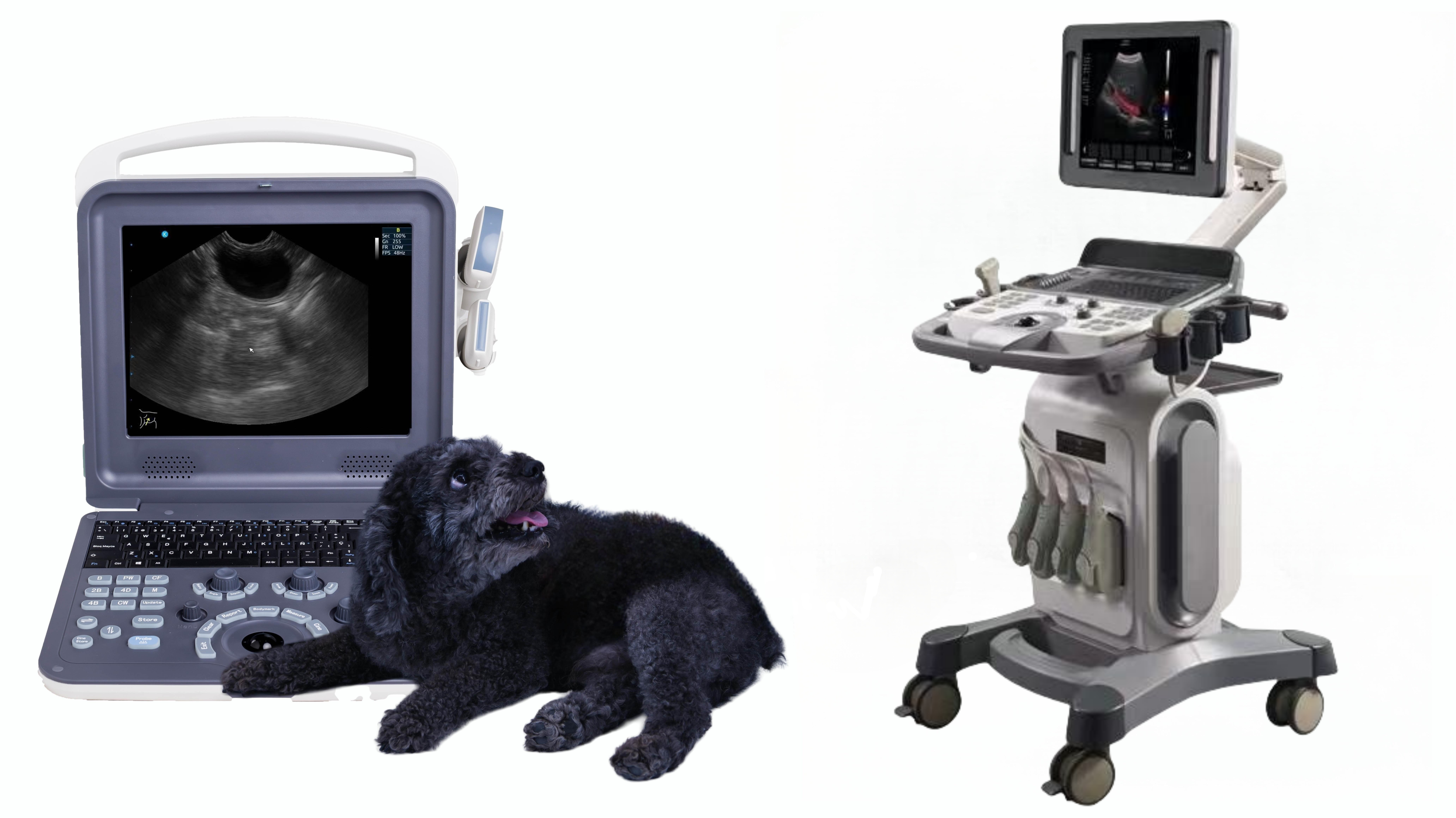 Veterinary Ultrasound Scanner